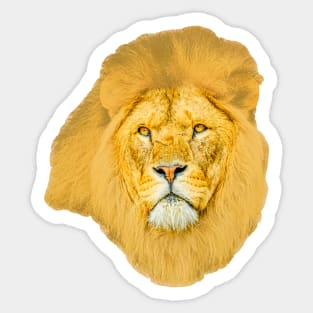 Lord of the Jungle Sticker